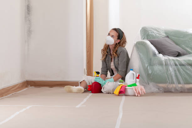 Reliable Black Mold Removal contractor in Venice, FL by WQB Mold Removal